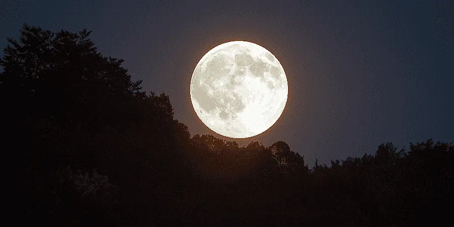 How to Use Intuitive Journaling to Hear Your Inner Voice Intuitive Journaling: The Moonlight Check-In